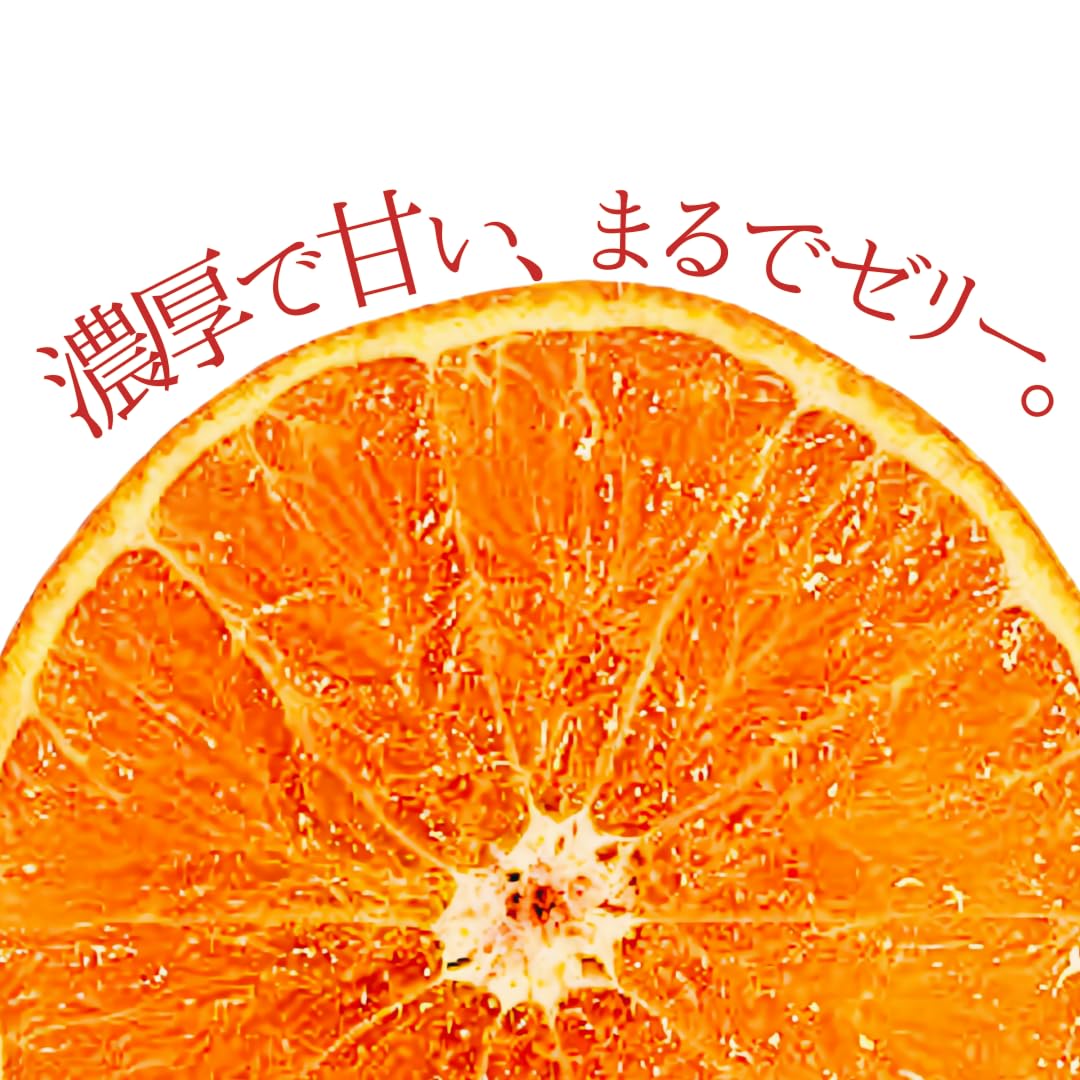 高級蜜柑 愛果28号 島のまどんな　秀品3L5kg 1629904_00_1749615917.jpg